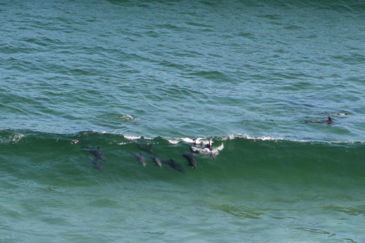 Gulls Way Villa Keurboomstrand Luaran gambar