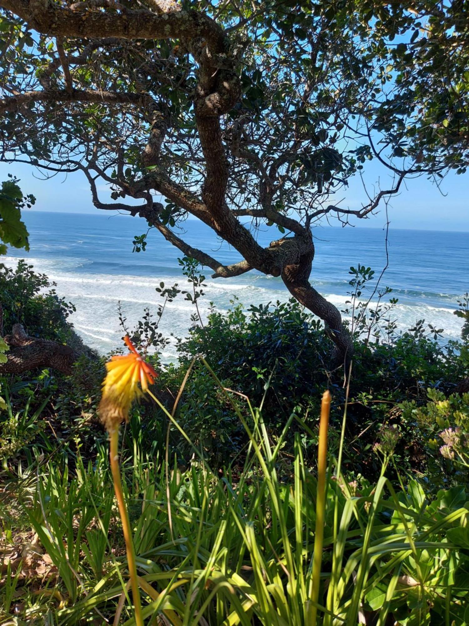 Gulls Way Villa Keurboomstrand Luaran gambar